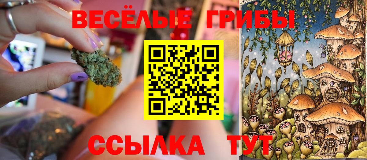 Ирбит  Псилоцибиновые грибы мицелий  Вход с VPN 